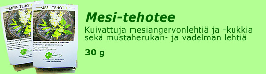 Mesi-tehotee